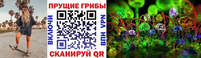 наркошоп  Юрьев-Польский  Псилоцибиновые грибы прущие грибы 